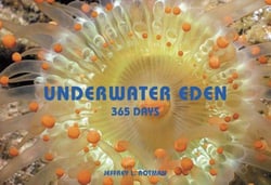 Underwater Eden - 365 Days