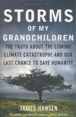Storms of my grandchildren - the truth about the coming climate catastrophe and our last chance to save humanity