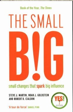 THE SMALL BIG - SMALL CHANGES THAT SPARK BIG INFLUENCE