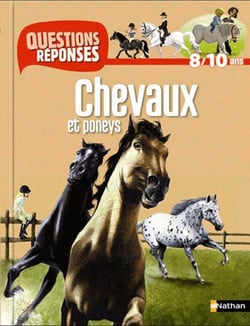 Chevaux Et Poneys