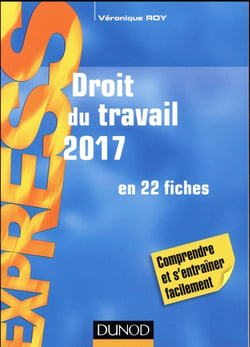 Droit du travail - en 22 fiches (édition 2017)