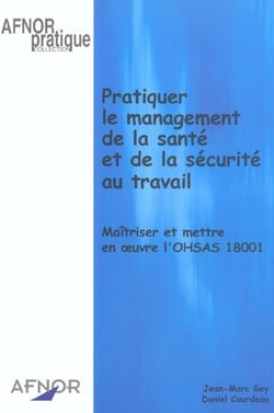 Pratiquer le management de la sante et de la securite au travail - maitriser et mettre en oeuvre l'ohsas 18001