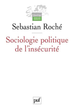 Sociologie politique de l'insécurité : Violences urbaines, inégalités et globalisation