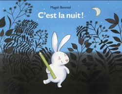 C'est la nuit