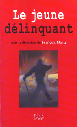 Le jeune délinquant