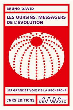 Les oursins, messagers de l'evolution