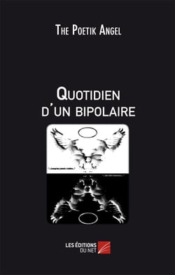 Quotidien d'un bipolaire