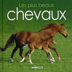 Les plus beaux chevaux