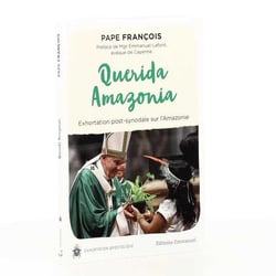 Querida Amazonia - exhortation post-synodale sur l'Amazonie