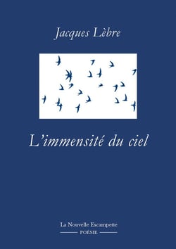 L'immensité du ciel