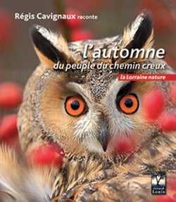 L'automne du chemin creux