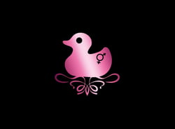Confessions d'un canard sex-toy - coffret t.1 et t.2