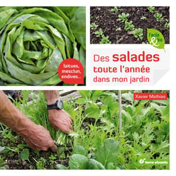 Des salades toute l'année dans mon jardin
