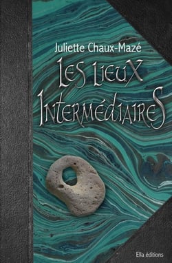 Les lieux intermédiaires Tome 2 : le pays gris