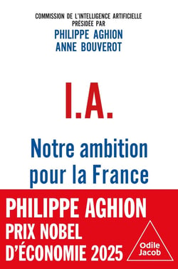 I.A. : Notre ambition pour la France