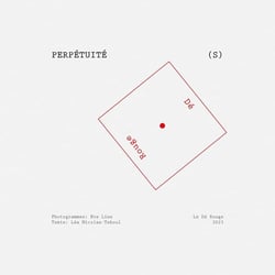 Perpétuité(s)
