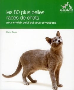 Les 80 plus belles races de chats