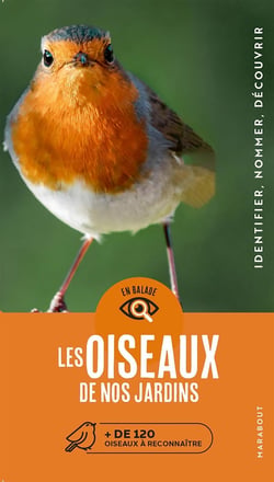 En balade : les oiseaux de nos jardins