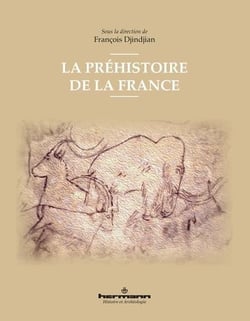 La préhistoire de la France