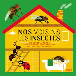 Nos voisins les insectes - un livre à flaps, pour débusquer les petites bêtes qui vivent dans la maison