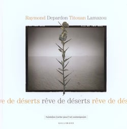 Reve De Deserts