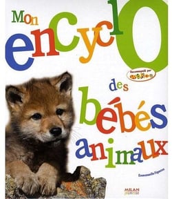 Mon encyclo des bébés animaux
