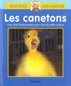 Gros plan sur la nature 18. les canetons