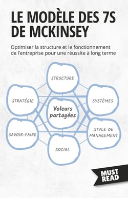 Le Modèle Des 7S De Mckinsey : Optimiser la structure et le fonctionnement de l'entreprise pour une réussite à long terme