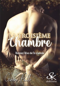La troisième chambre Tome 1 : bonnes fêtes de fin d'année