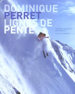 Dominique perret - lignes de pente