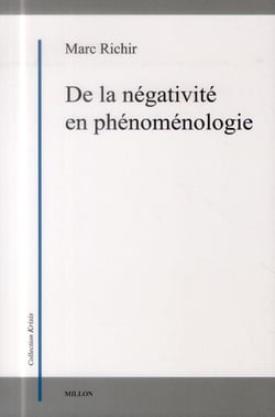 De la négativite en phénoménologie