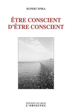 Être conscient d'être conscient