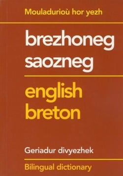Elementary breton-english and english-breton dictionary
