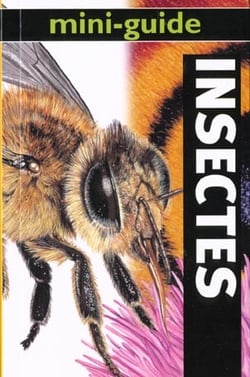 Les insectes