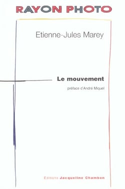 Mouvement (le)