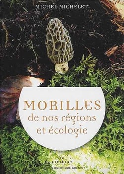 Morilles de nos régions et écologie