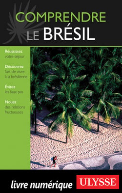 Comprendre le brésil