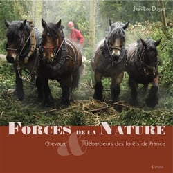 Forces de la nature, chevaux et débardeurs des forêts de france