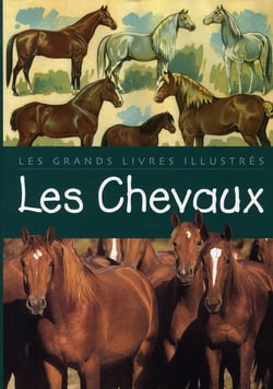 Les chevaux
