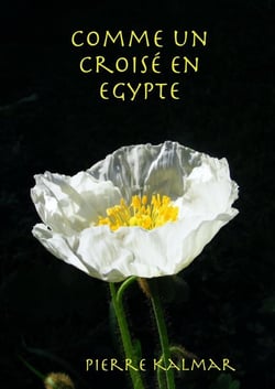 Comme un croisé en Egypte