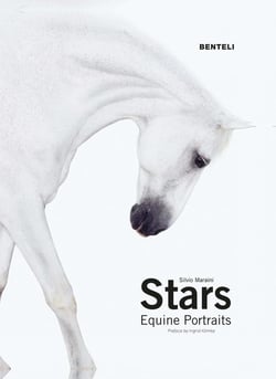 Stars - equine portraits