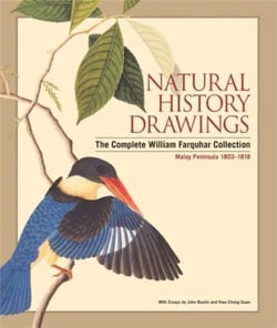 Natural history drawings
