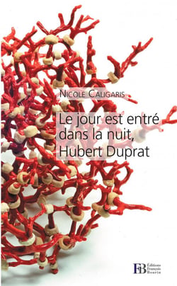 Le jour est entré dans la nuit, Hubert Duprat