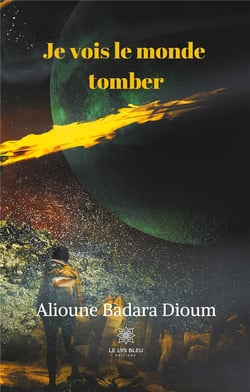 Je vois le monde tomber