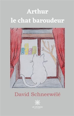 Arthur le chat baroudeur