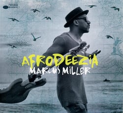 Afrodeezia