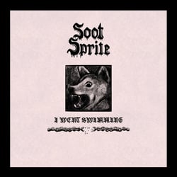 I Went Swimming / Home Among Your Bones