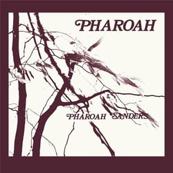Pharoah - édition limitée