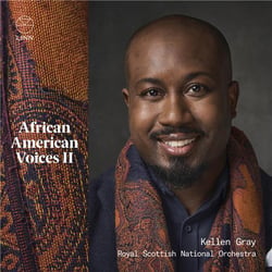 African American Voices, Vol. 2