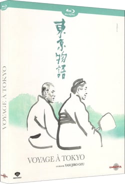 Voyage à Tokyo
